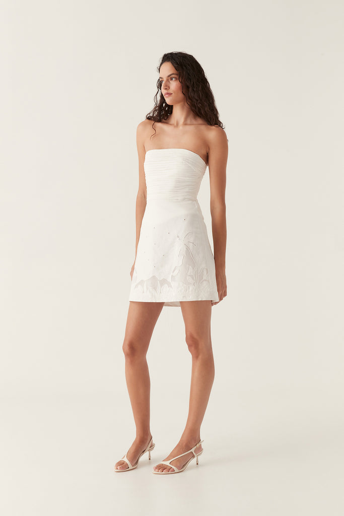 Aj Agua Embroidered Mini Skirt