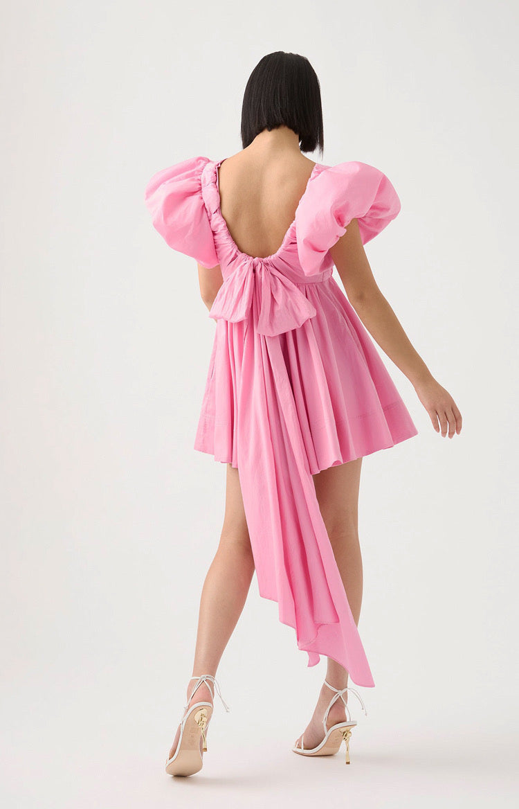 Aj Gretta Bow Back Mini Dress