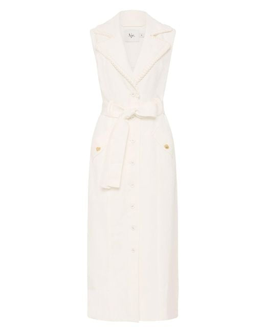 Aj Encompass Utility Midi Dress