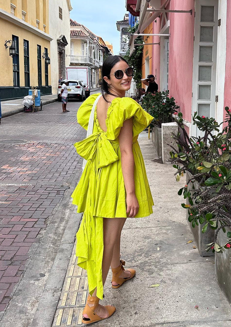 Aj Gretta Bow Back Mini Dress